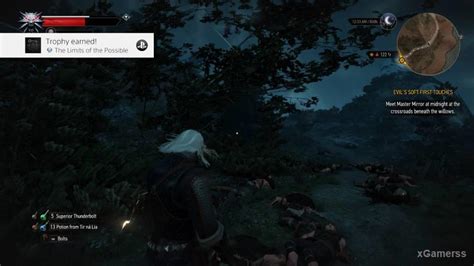 the witcher 3 missable trophies.